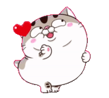 fat cat, ami fat cat, кот ами толстый, танцующий толстый кот