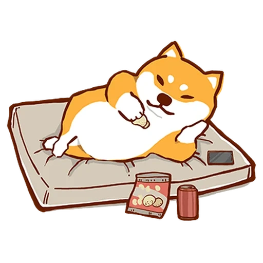 shiba inu, smally cat, stream starting soon