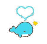 whale, lovely, narwhal, in order to outline cute, kawai seal