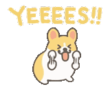 1corgi animation stickers3 @moe_sticker_bot