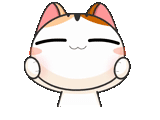 kucing, kucing, seekor kucing, kucing jepang, kucing emoji korea