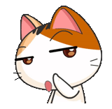 seal, funny, meow animated, anime expression cat