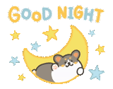 good night, baby good night, good night inscription, bonne nuit sans arrière-plan, good night and sweet dreams