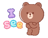 mishki, cubs are cute, lane bear, bear line friend brown, bear brown line friends circle