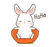 rabbit, dear rabbit, rabbits are cute, bunny peeps out, the stickers are cute rabbits