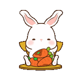 rabbit, white rabbit, lovely rabbits, rabbit radish, the stickers are cute rabbits