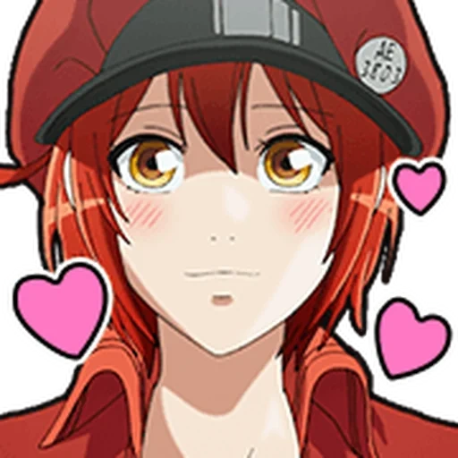 blood cell, anime girl, hataraku saibou, anime langkah hamaluke, sel 2 hataraku saibou di tempat kerja