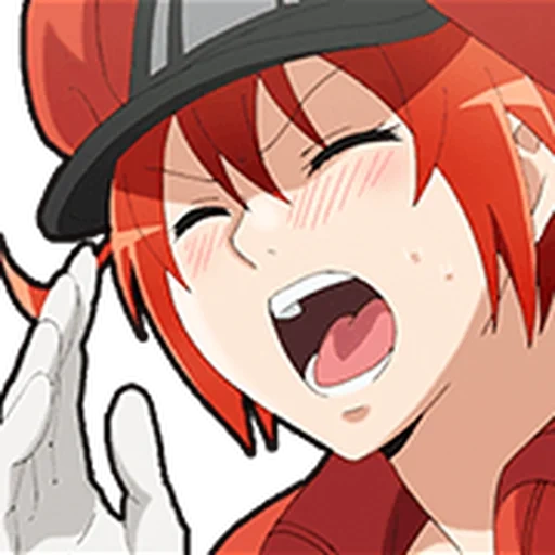 anime, anistar icon, anime characters, anime about blood, hataraku saibou anime