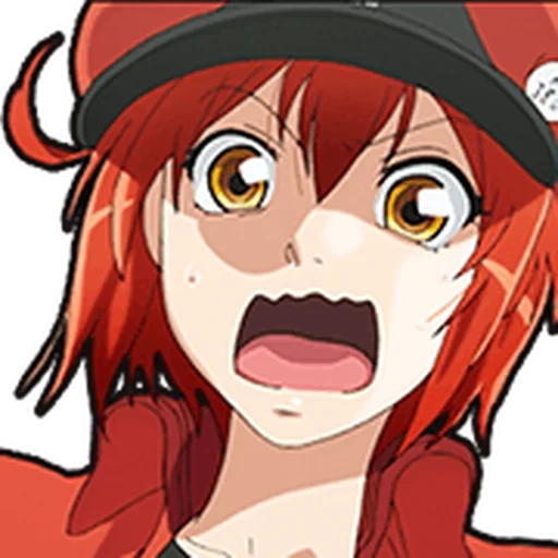 saibou, hataraku saibou, hataraku saibou 2, hataraku saibou anime, cells at the work of hataraku saibou tv