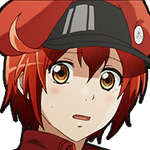 anime, animation waifu, hataraku saibou, anime de hamiru saimi, hataraku saibou saison 2