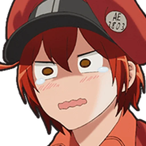 anime, a heroína do anime, anime girls, hataraku saibou, personagens de anime