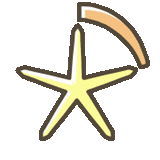 text, starfish, sea star a sign, sea star icon, the marine star icon