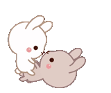 rabbit, kawaii animals, the animals are cute, cute rabbits, tuagom puffy bear and rabbit