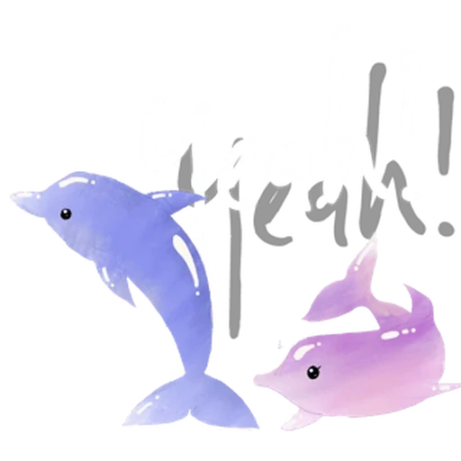 text, dolphin, dolphins, blue dolphin, cute dolphins