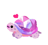 Jewel Shells