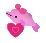 dauphins, jouets, dauphin rose, jouets pour dauphins, dauphin rose