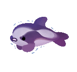 delfin, delfine, delfin, violet delphin, kleiner delphin