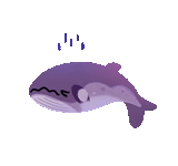 ballena, whale, ballena azul, ballena púrpura, delfín púrpura