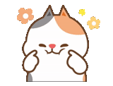 tonton, gatos, amigos de tonton, preciosas sonrisas japonesas
