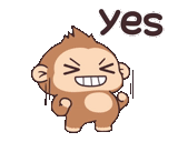 meme, funny, animals are cute, funny smiling face, animated monkey