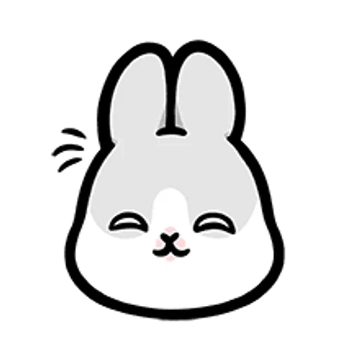 bunny, coniglio, faccia di coniglio, caro coniglio, il coniglio è nero