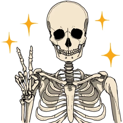 das skelett, das muster des skeletts, aufkleber mit skelett
