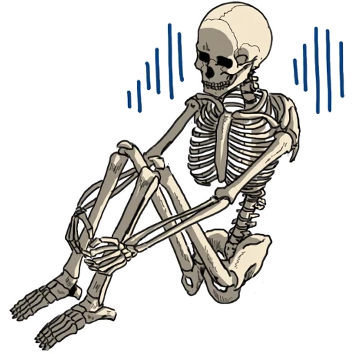 esqueleto, siéntate esqueleto, esqueleto humano, cráneo de dibujos animados sentado