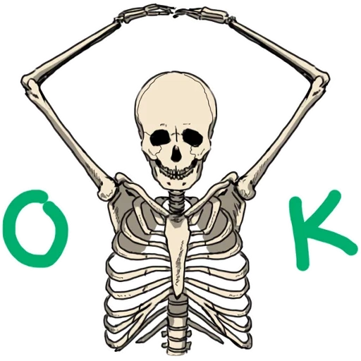 skeleton, skeleton skeleton, background-free skeleton, skull sticker