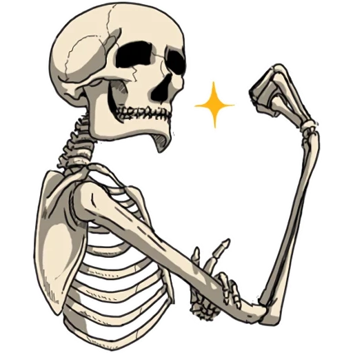skeleton, background-free skeleton, skull sticker