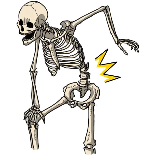 skeleton, skeleton pattern, skeleton drawing, sketch skeleton