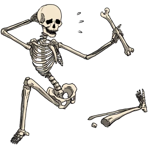 lo scheletro, skeleton, scheletro scheletrico, modello di scheletro, disegno dello scheletro
