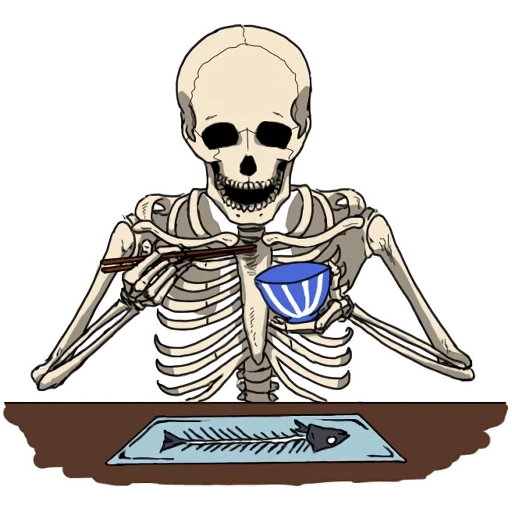 skeleton, skeleton, skull coast, skull sticker