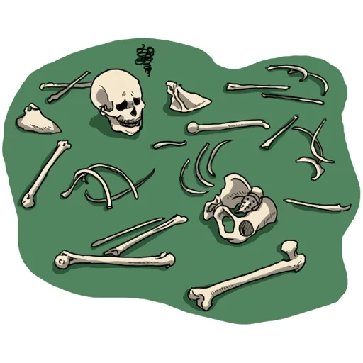parker skull, pirate skull, the keys to all the doors, skull ornamentation, pirate bones without skulls