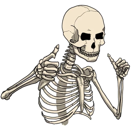 das skelett, zeichnung des skeletts, aufkleber mit skelett, totenkopf cartoon