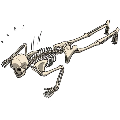 das skelett, skelett skelett, das rollenskelett, aufkleber mit skelett