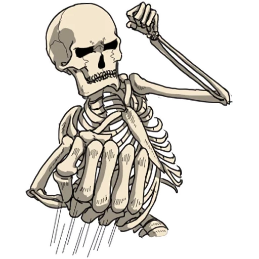 lo scheletro, skeleton, scheletro senza sfondo, adesivi per il teschio