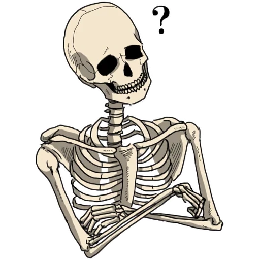 squelette, dessin du squelette, autocollants squelettes, le squelette avec un crayon