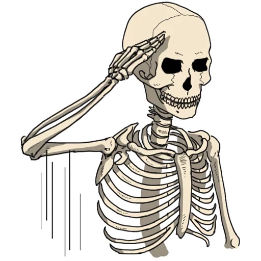 das skelett, aufkleber mit skelett, zeichnung des skeletts, das skelett des bleistifts, totenkopf cartoon