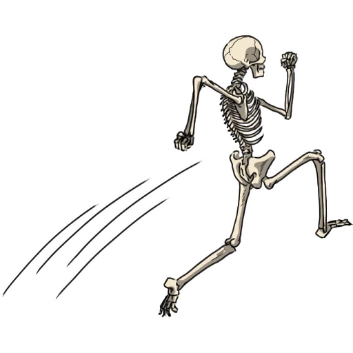 lo scheletro, skeleton, la danza dello scheletro, scheletro interessante, lo scheletro del movimento