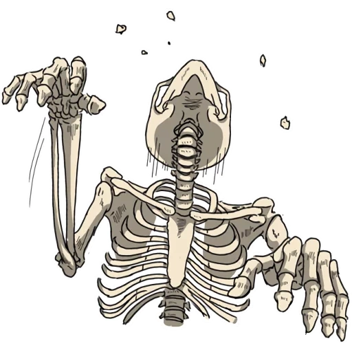 squelette, squelette, les os du squelette, dessin du squelette, croquis d'un squelette humain