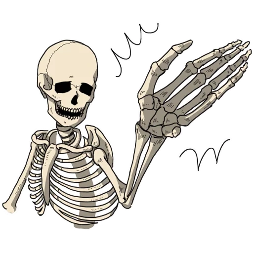 squelette, un squelette sans fond, autocollants squelettes, le squelette avec un crayon