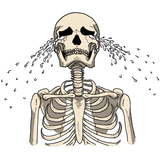 skeleton, bob's skull, graphic skeleton, skull sticker