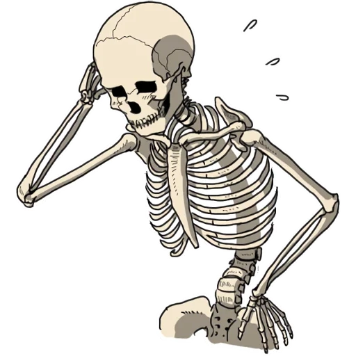 das skelett, zeichnung des skeletts, aufkleber mit skelett, totenkopf cartoon