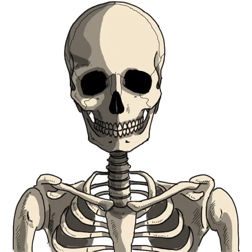 das skelett, skelett des schädels, aufkleber mit skelett, nariso skelett