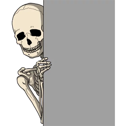 skeleton, skeleton, background-free skeleton, skull sticker