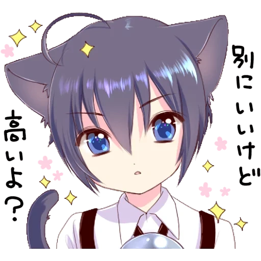 cat, anime, animação, creator, hashimokikuri