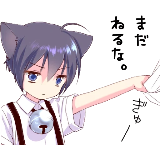 animação, animação amino, garoto preto gato, hashimokikuri