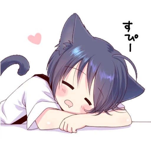 katzenmädchen, anime süß, schwarzer katzenjunge, schöner anime chan, anime ist ein mädchen