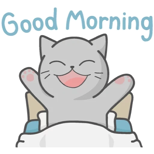 cat, neko kitty, fulmun cat, good morning