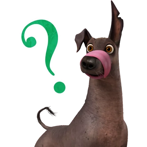 dog, dante corsolo, the mystery of coco dante, the mystery of the coco dog, the mystery of koko